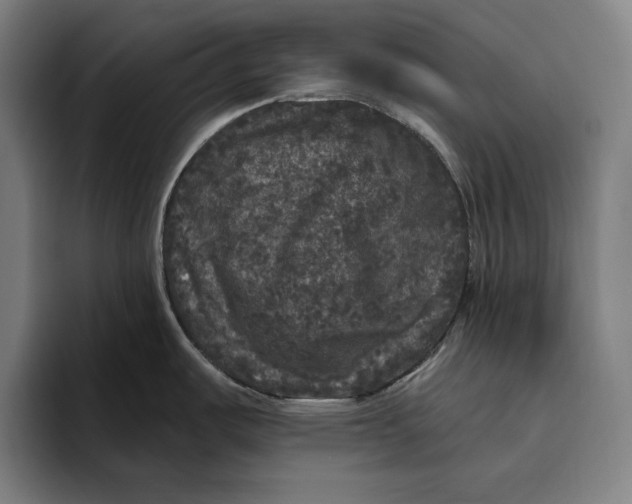 X0000094811487200712071215