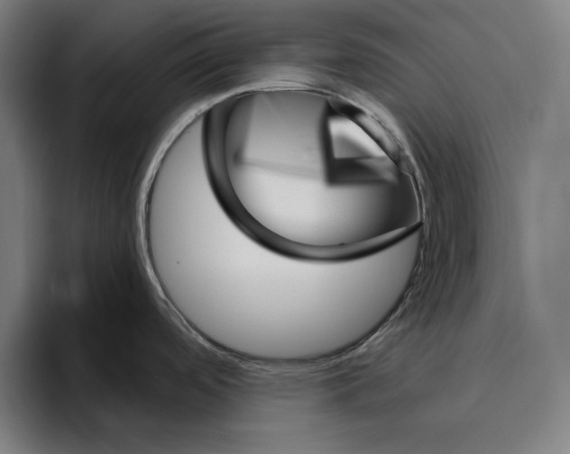 X0000094811488200712071215