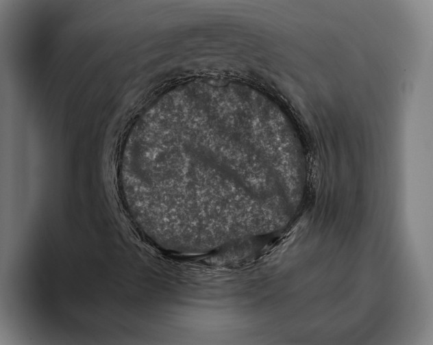 X0000094811489200712071215