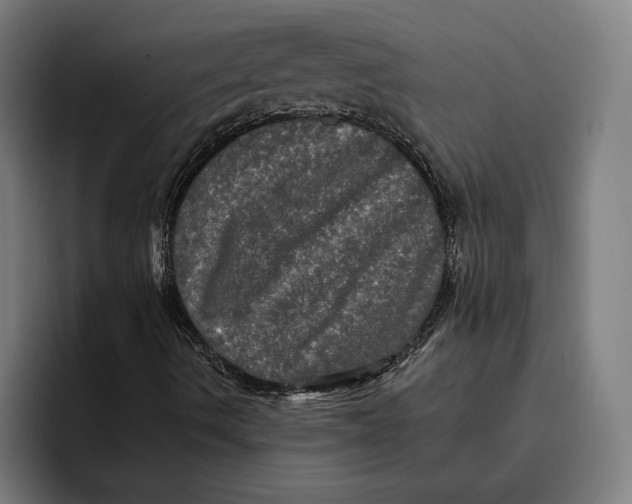 X0000094811490200712071215