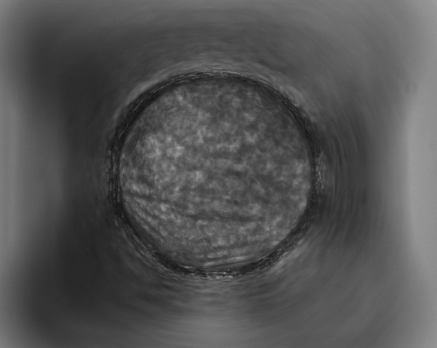 X0000094811494200712071215