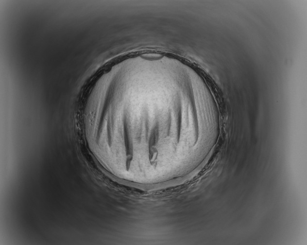 X0000094811496200712071215