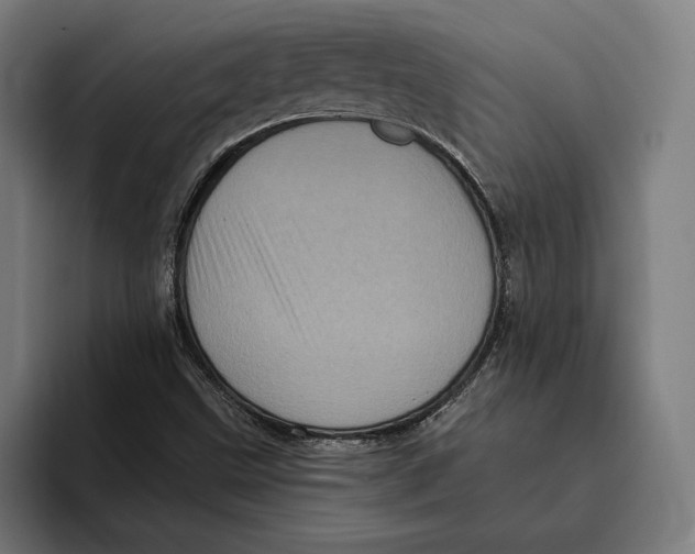 X0000094811499200712071215