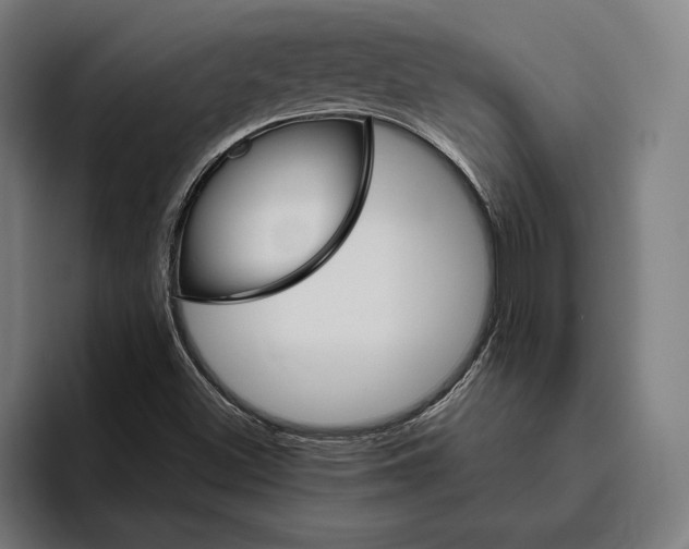 X0000094811500200712071215