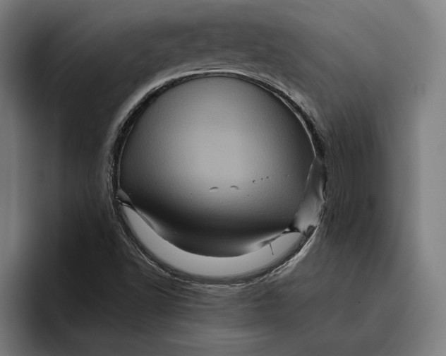 X0000094811502200712071215