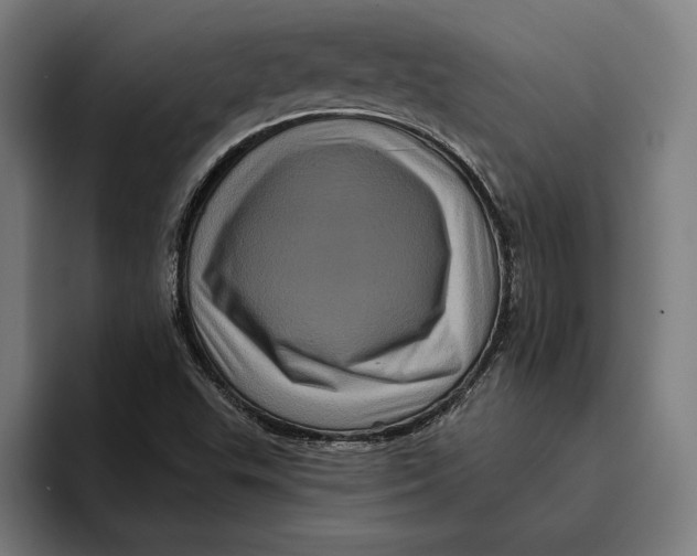 X0000094811503200712071215