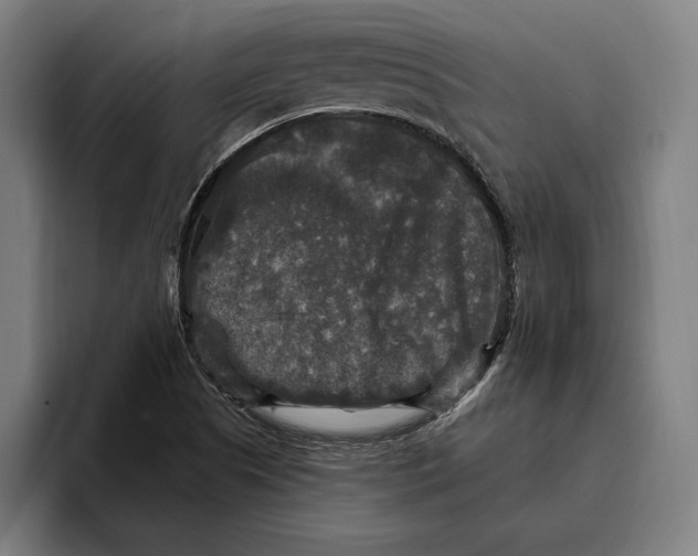 X0000094811505200712071215