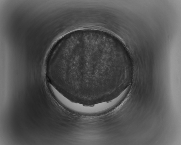 X0000094811506200712071215