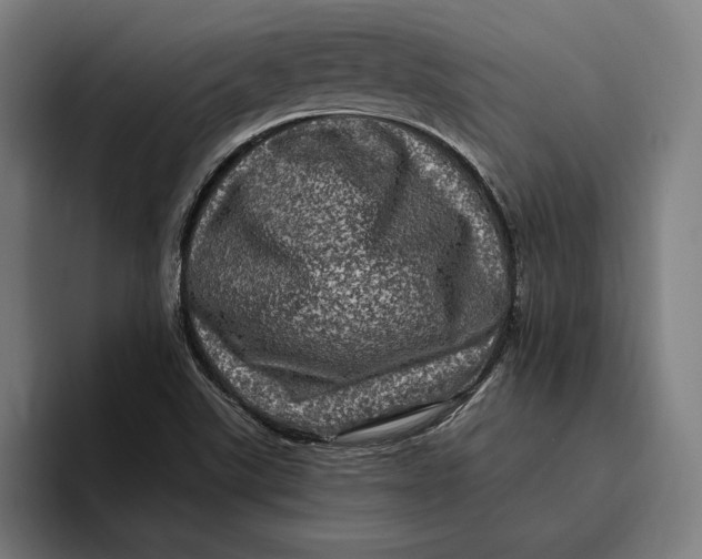 X0000094811507200712071215