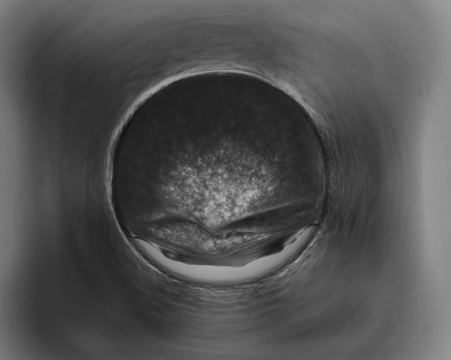 X0000094811508200712071215