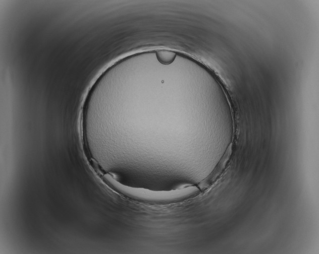 X0000094811516200712071215