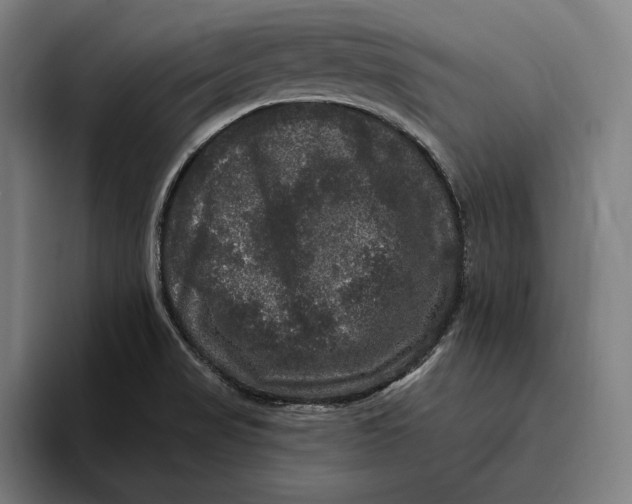 X0000094811517200712071215