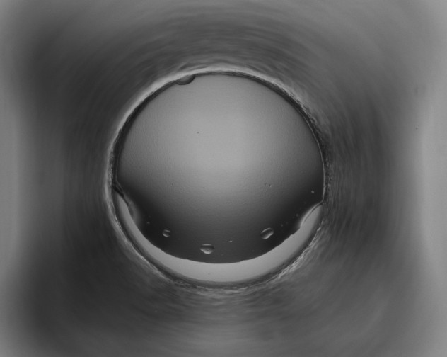 X0000094811518200712071215