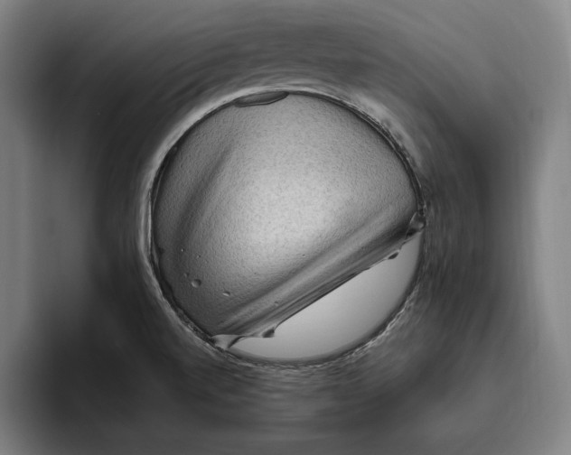 X0000094811520200712071215