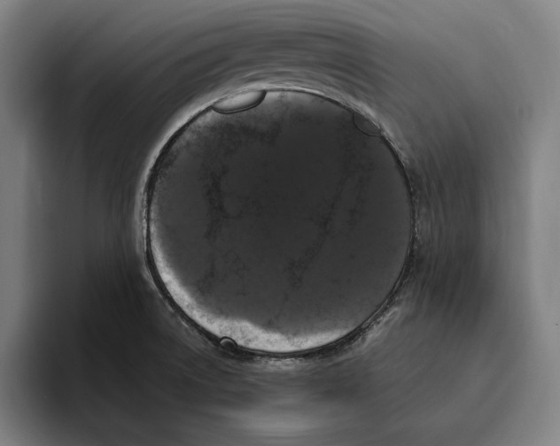 X0000094811522200712071215