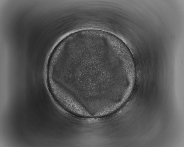 X0000094811523200712071215