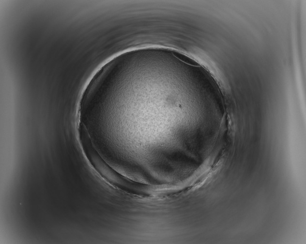 X0000094811524200712071215