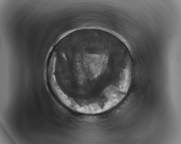 X0000094811525200712071215