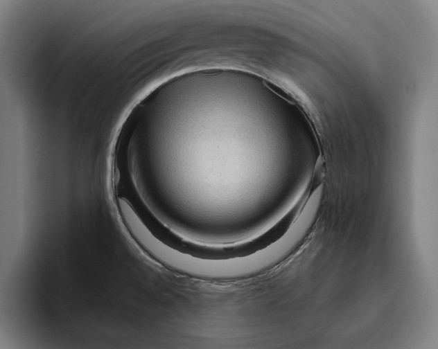 X0000094811528200712071215