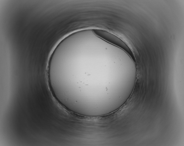 X0000094811532200712071215