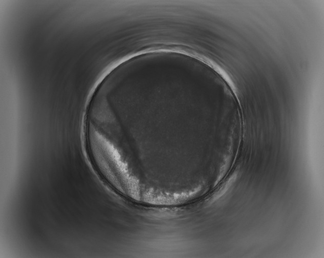 X0000094811533200712071215