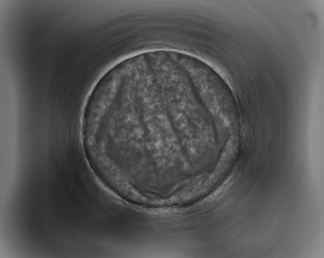 X0000094811535200712071215