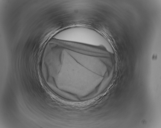 X0000094810001200712141633