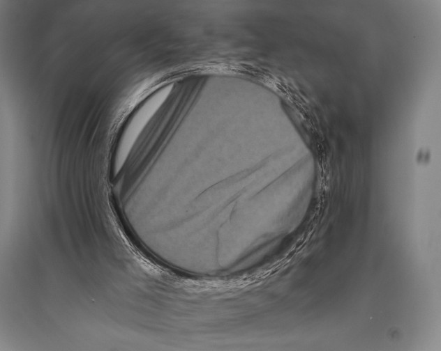 X0000094810005200712141633