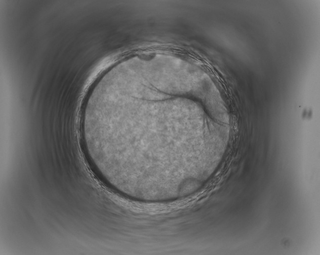 X0000094810006200712141633