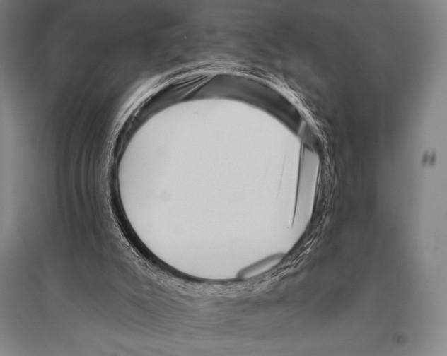 X0000094810007200712141633