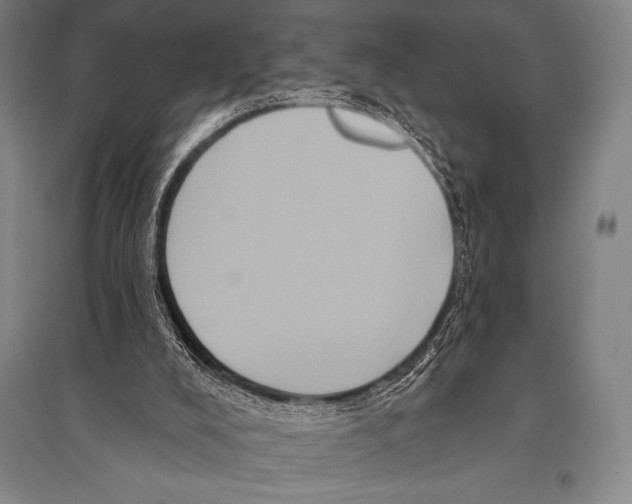 X0000094810008200712141633