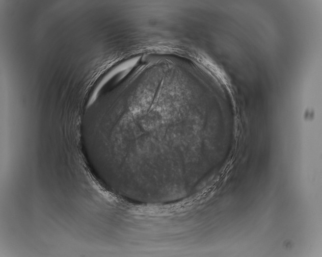 X0000094810009200712141633