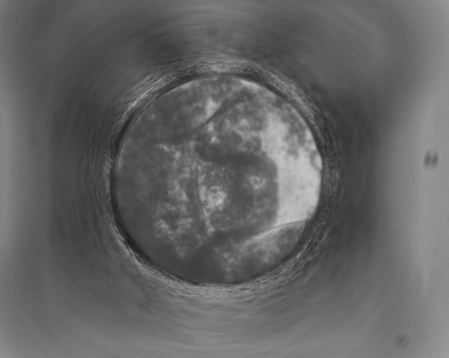 X0000094810010200712141633