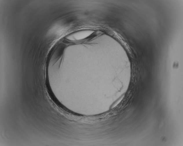 X0000094810011200712141633