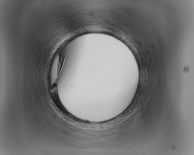 X0000094810015200712141633