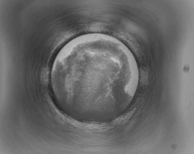 X0000094810016200712141633