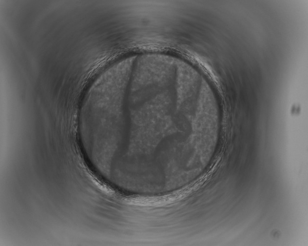 X0000094810017200712141633