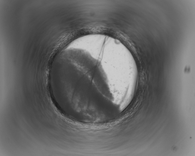 X0000094810018200712141633