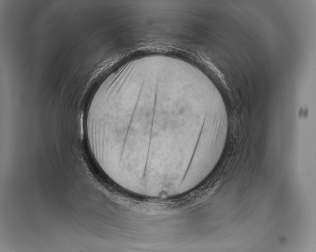 X0000094810020200712141633