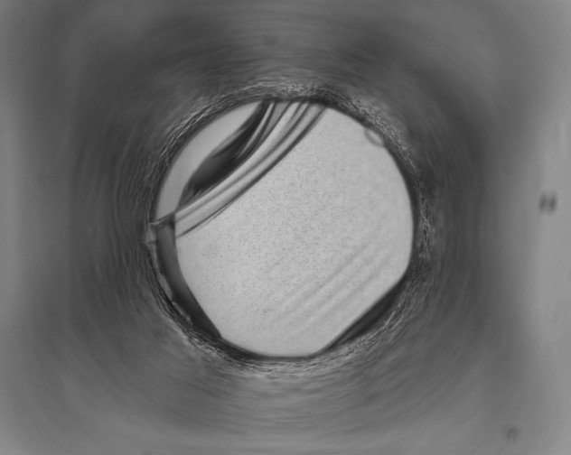 X0000094810021200712141633