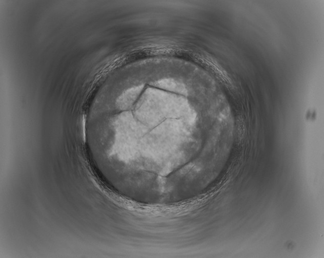 X0000094810022200712141633