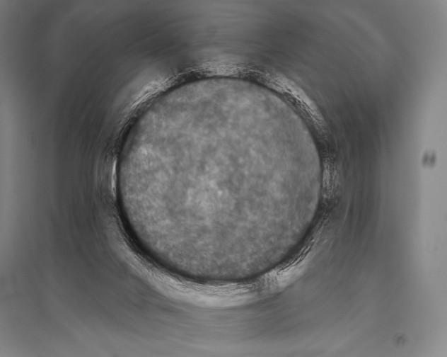 X0000094810024200712141632