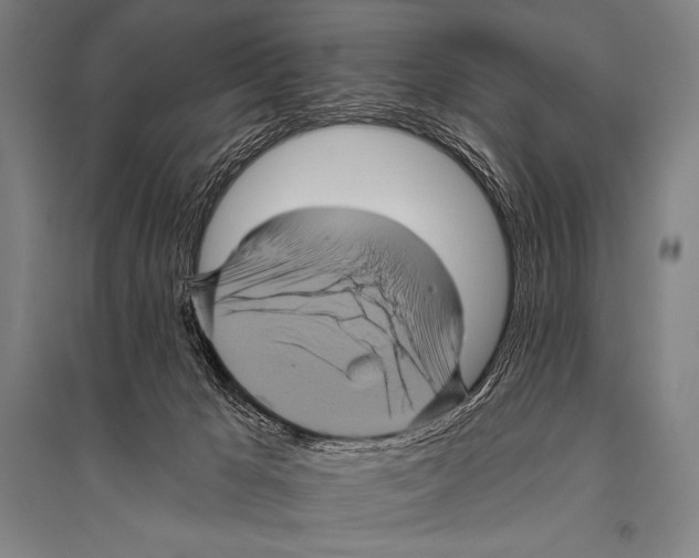 X0000094810029200712141632