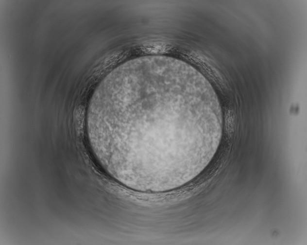 X0000094810030200712141632