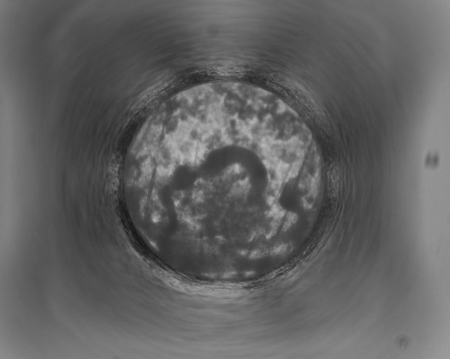 X0000094810032200712141632