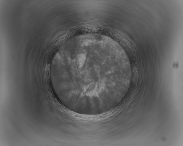 X0000094810034200712141632