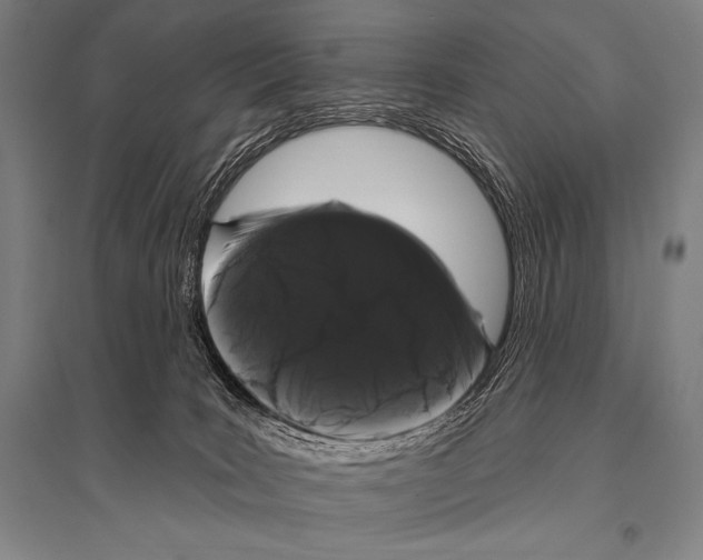 X0000094810035200712141632