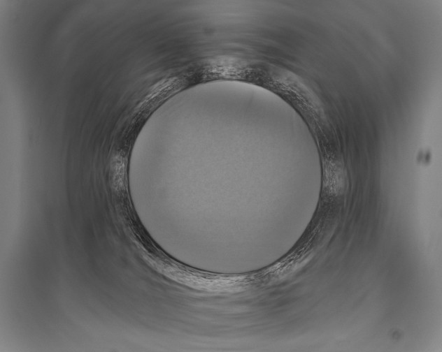 X0000094810036200712141632