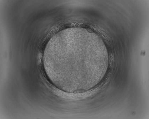 X0000094810038200712141632