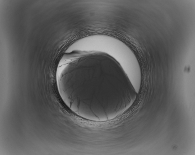 X0000094810039200712141632